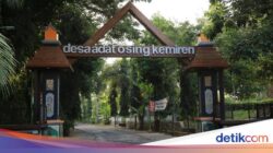 Menelusuri Keunikan Desa Adat Osing Banyuwangi yang Masih Lestari