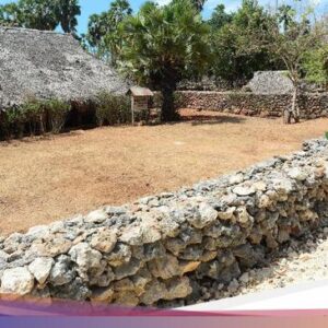 Mengenal Rumah Adat Uma Tutus Hingga Kabupaten Rote Ndao