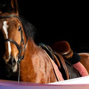 5 Cerita Mistis Kuda, Bersama Kuda Gonjreng hingga Penunggang Kuda Tanpa Kepala