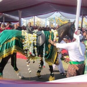 Legenda Eyang Suryakencana, Penunggang Kuda Kosong Ke Cianjur