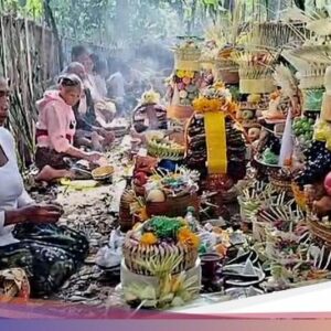 Kebiasaan Ngasa Hingga Gianyar, Haturkan Sesajen Uang, Aksesoris, hingga Sertifikat