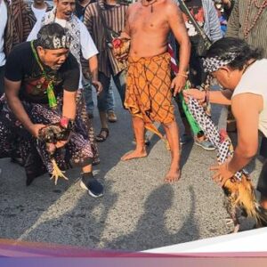 Sabung Ayam Ke Pertigaan Mastrip Surabaya Iringi Kirab Sawunggaling