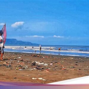 Menilik Kebiasaan Berburu Impun Nyalawena Ke Pesisir Loji Sukabumi