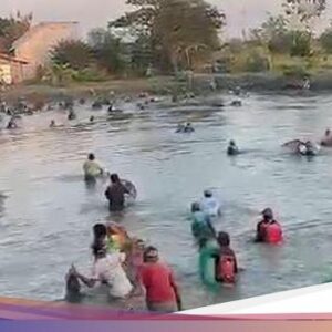 Warga Lamongan Ramai-ramai Nyusuk, Kearifan Lokal Cari Ikan Jelang Maulid Nabi