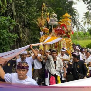 Kearifan Lokal Nyelung, Persembahkan Hasil Tani Hingga Buahan Gianyar Tiap 10 Tahun Sekali