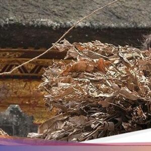 Mengenal Tari Barong Brutuk yang Hanya Ada Di Desa Trunyan Kintamani