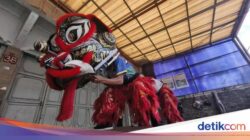 Semangat Bocah Bandung Ke Balik Barongsai Jelang Imlek 2025