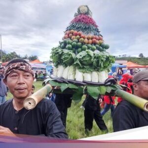 Mengenal Dongdang dan Perbedaannya Didalam Jampana, Simak Penjelasannya