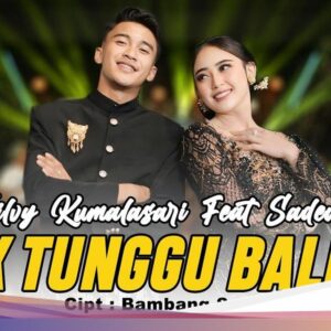 Lirik Lagu Tak Tunggu Balimu Silvy Kumalasari feat Sadewok, Trending YouTube!