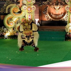 Antusiasnya Anak-anak Menarikan Barong Buntut Di Taman Ayun