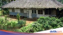 Minuman Godog-Rumah Kampung Kuta Ciamis Ditetapkan Karena Itu WBTB