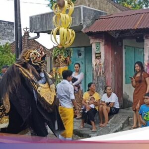 Kearifan Lokal Unik Di Galungan dan Kuningan Di Bali Selain Memasang Penjor
