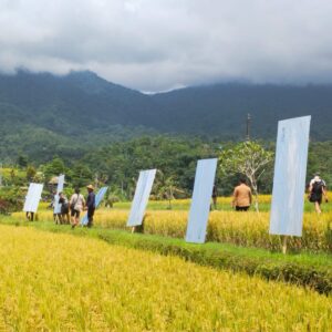 Keluhan Masyarakat Penyegelan Warung, Petani Jatiluwih Pasang Pagar Seng