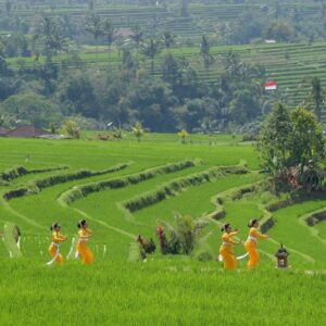 Desa Jatiluwih Bersurat  Mohon Lepas Segel Bangunan Melanggar, Pol PP Bali Bergeming