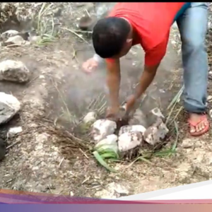 Cara Warga Lembata Memasak Pakai Energi Panas Bumi