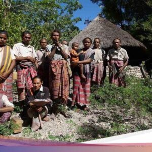 Rahasia Ketahanan Kelaparan Global Suku Boti Di Di Iklim Kering NTT