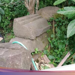 Situs Candi Bekelan Klaten, Puing Sejarah yang Tertimbun Pohon-Semak