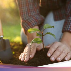 Kalender Jawa Minggu Legi 4 Januari 2026: Sumur Sinaba