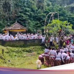 Ritual Pertempuran Ke Bali Sebagai Memohon Kesuburan