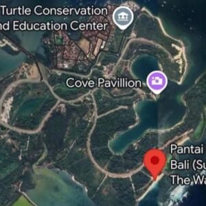 BTID Tanggapi Dugaan Alih Kelola 82 Hektare Mangrove Tahura Ngurah Rai