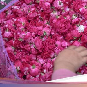 Asal-Usul Nyadran, Kebiasaan Ziarah Di Kubur Leluhur Jelang Ramadan