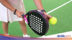 Pada Padel Menjadi Pilihan Terbaru Gen Z Untuk Latihan Ke Bandung