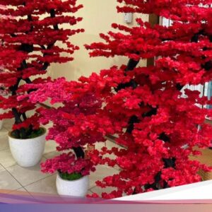 Mengenal Bunga Mei Hwa, Simbol Keberuntungan Ke Di Imlek