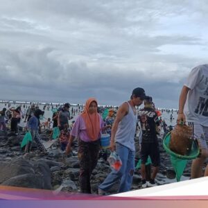 Tangkapan Sedikit, Dispar Akui Puncak Bau Nyale 2026 Meleset