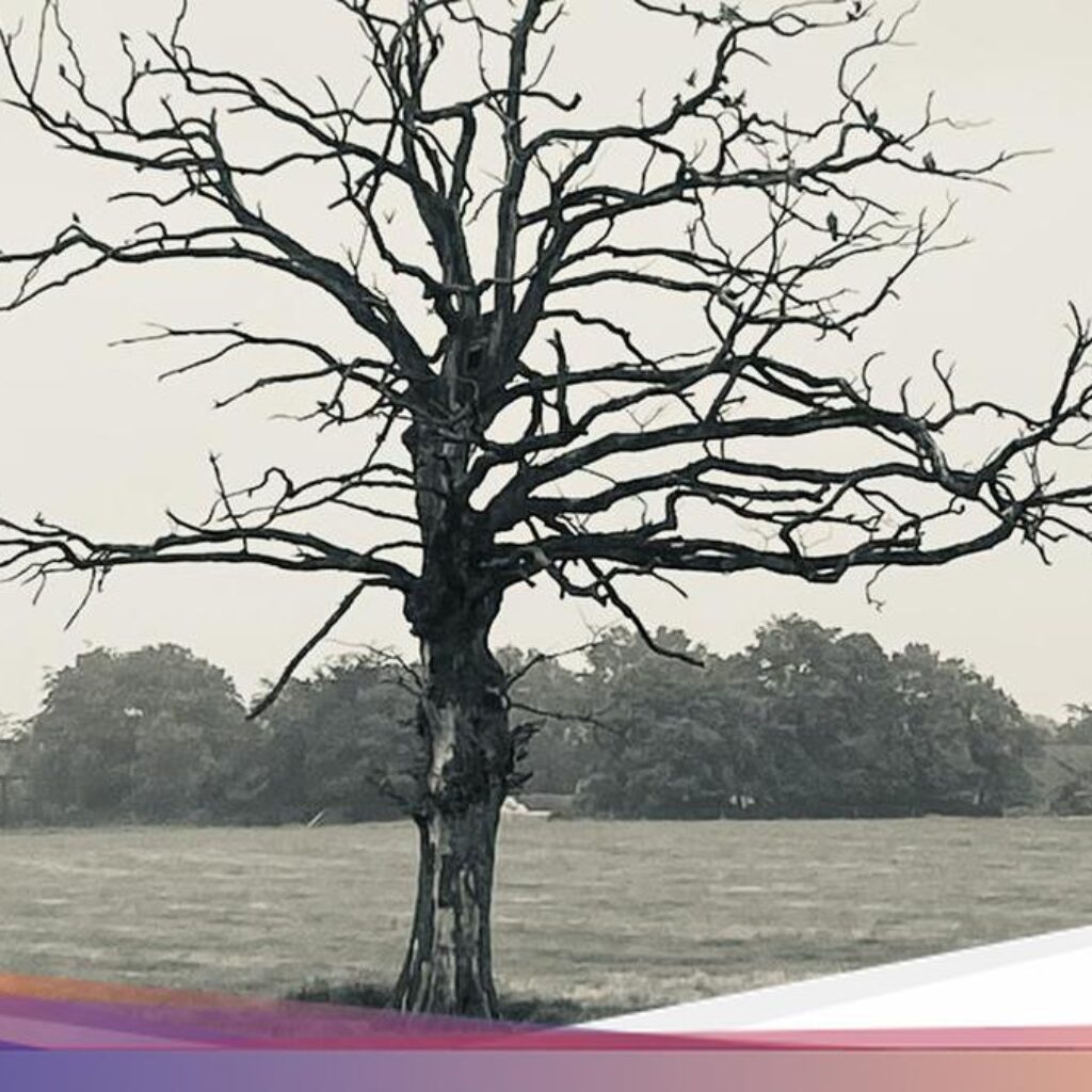 11 Urutan Upacara Kematian Di Kehidupan Kelompok Jawa: Lelayu-Nyewu