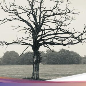 11 Urutan Upacara Kematian Di Kehidupan Kelompok Jawa: Lelayu-Nyewu