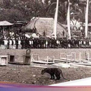 Mengenal Rampogan Macan, Kearifan Lokal ‘Kelam’ Jelang Idul Fitri Hingga Tanah Jawa
