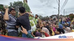 Serunya Warga Boja Kendal Berebut Gunungan Ke Kirab Syawalan