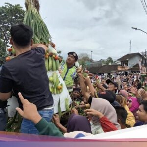Serunya Warga Boja Kendal Berebut Gunungan Ke Kirab Syawalan