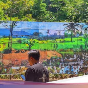 Lukisan Raksasa Hingga Ditengah Sawah