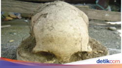 Kubur Tempayan, Sistem Penguburan Prasejarah yang Ditemukan Di Alor
