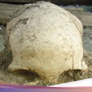 Kubur Tempayan, Sistem Penguburan Prasejarah yang Ditemukan Di Alor