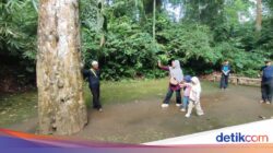 Menyusuri Jejak Ciung Wanara Ke Situs Karangkamulyan Ciamis