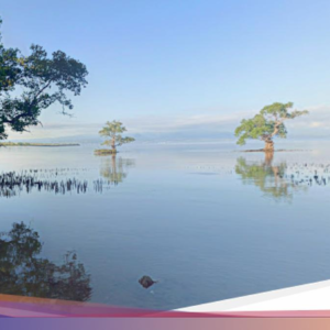 Asal-usul Tanjung Menangis Di Sumbawa, Legenda Tragis Putri Kerajaan