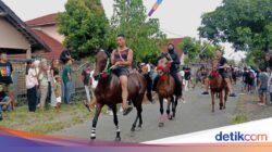 Kearifan Lokal Tiyu Di Desa Jantuk, Berawal Konflik Bersenjata Kerajaan Selaparang Vs Karangasem