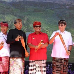 Perayaan Seni Jatiluwih VII 2026, Gerakkan Ekonomi Lokal, Libatkan Usaha Kecil Menengah hingga Sport Tourism