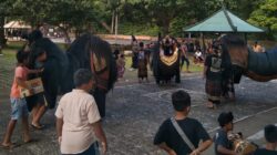 Kebiasaan Ngelawang dan Pasar Dadakan Dongkrak Kunjungan Alas Kedaton Pada Umanis Galungan