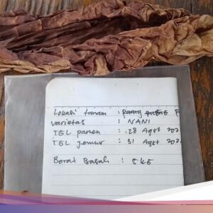 Galabag, Tembakau Lembaran Di Sunda yang Disenangi Pasar Eropa