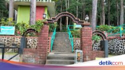 Grebeg Suro Ke Gunung Tidar Magelang Digelar 2 Hari, Ada 9 Tumpeng-Ingkung