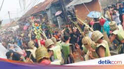 1,5 Ton Tomat Busuk ‘Hujani’ Lembang, Simbol Buang Sifat Buruk
