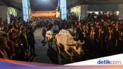 Kirab Malam 1 Suro Keraton Solo, Beda Raja Beda Pusaka