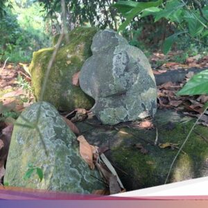 Punden Keramat Ke Nganjuk Diduga Sisa Candi Era Dharmawangsa Teguh