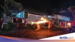 Meamuk-amukan, Kebiasaan Unik Jelang Nyepi Hingga Desa Adat Padang Bulia Buleleng