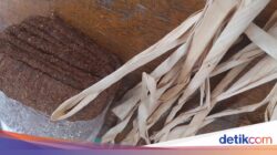 Catatan Kecil soal ‘Lilitan’ Kawung dan Ungkapan ‘Sateukteuk Heula’