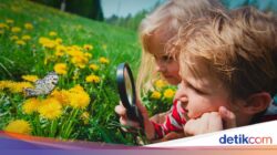 Kalender Jawa Sabtu Pon 25 Juli 2026: Baik Hati dan Teliti