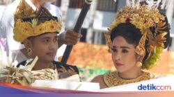 Kearifan Lokal Kawin Berlarilah Di Desa Pedawa Buleleng